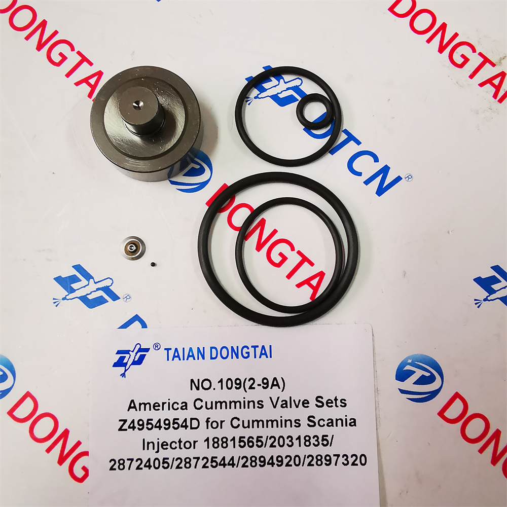 NO.109(2-9A) America Cummins Valve Sets Z4954954D For CUMMINS Scania Injector 1881565/2031835/2872405/ 2872544/2894920/2897320