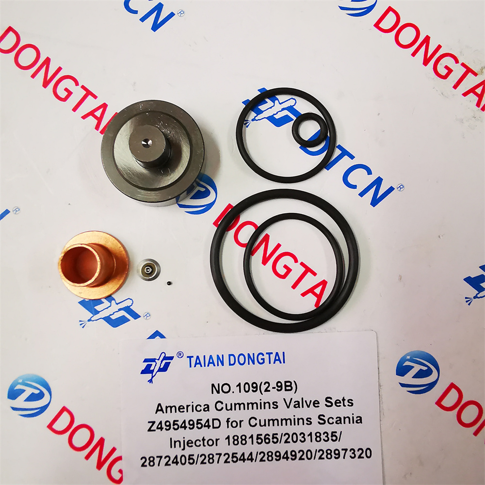 NO.109(2-9B) America Cummins Valve Sets Z4954954D For CUMMINS Scania Injector 1881565/2031835/2872405/ 2872544/2894920/2897320